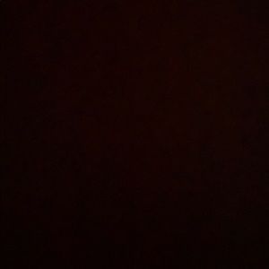 Meet your Posher, Briahna